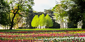 Blick in den Park von Schloss Dyck